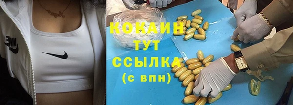 мдпв Верея