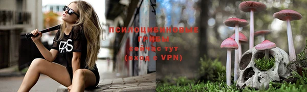 мдпв Верея