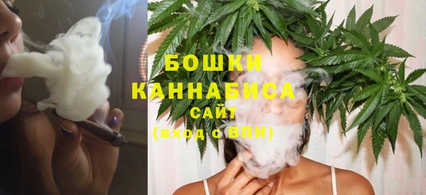 мдпв Верея
